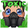 Toxicdr