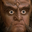 gowronEyes