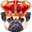 PugKing