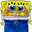 SpongeCute