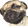 PugSmug