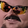 forsenCD