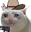 sadYeehawCat