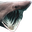 SharkPog