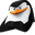 CarePingu