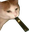 VapeCat