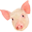 PorkTech