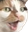 catPog