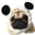 BexPug