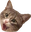 CatPog