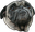 BentleyPUG