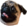 PugChamp