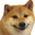 DogeWat