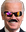 bidenCD