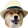 hatDoge