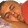 reikisSleeper