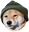 SternDoge