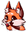 FoxiCute