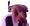 Silverpog