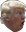 PogTrump