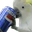 AvisBepis