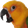 BirdPog