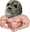 BuffSeal