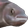 PauseFish