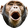 PogChimp