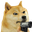 dogeGun