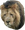 LionSob