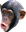 PogChimp