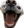 DagChomp