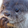 otterHmm