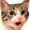 pogCat