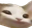 PauseCat