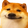 dogeKaef