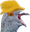 pigeonPog