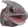 FishPega