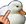 duckYOU