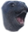 SealPog