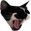 PogCat