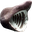 PogShark