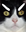 rigaR