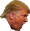 trumpPogChamp