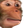 PauseChimp