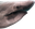 SharkPause