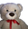 tedStare