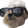 pogDog