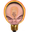 5Bulb